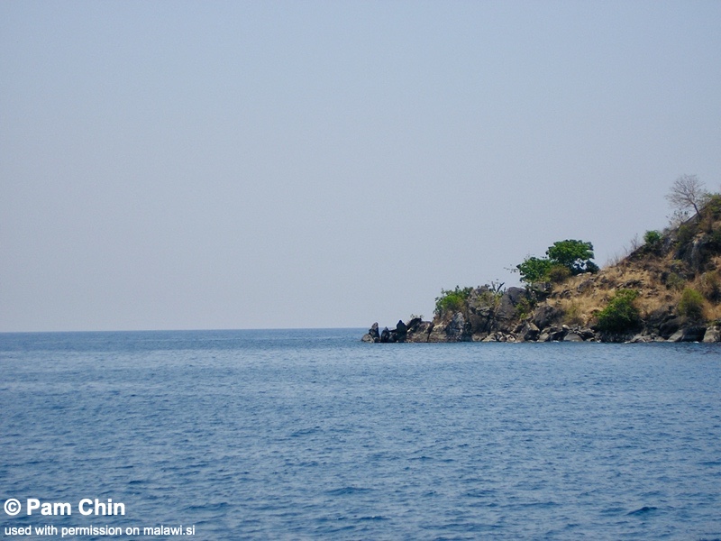 Lion's Cove 08